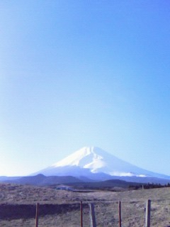 f:id:tokyo_sotai:20090315162810j:image