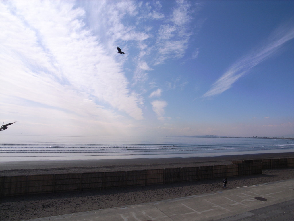f:id:tokyo_sotai:20100204135809j:plain f:id:tokyo_sotai:20100204135809j:plain