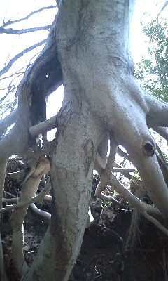 f:id:tokyo_sotai:20120405132352j:image