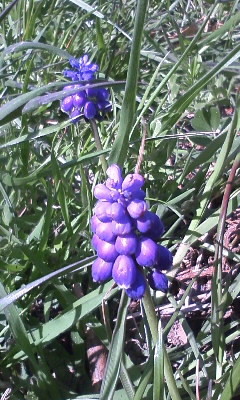 f:id:tokyo_sotai:20120405133840j:image f:id:tokyo_sotai:20120405133840j:image